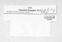Image Associated With the Occurence